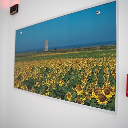 Apartamentos Alsa Conil Conil De La Frontera Exteriér fotografie